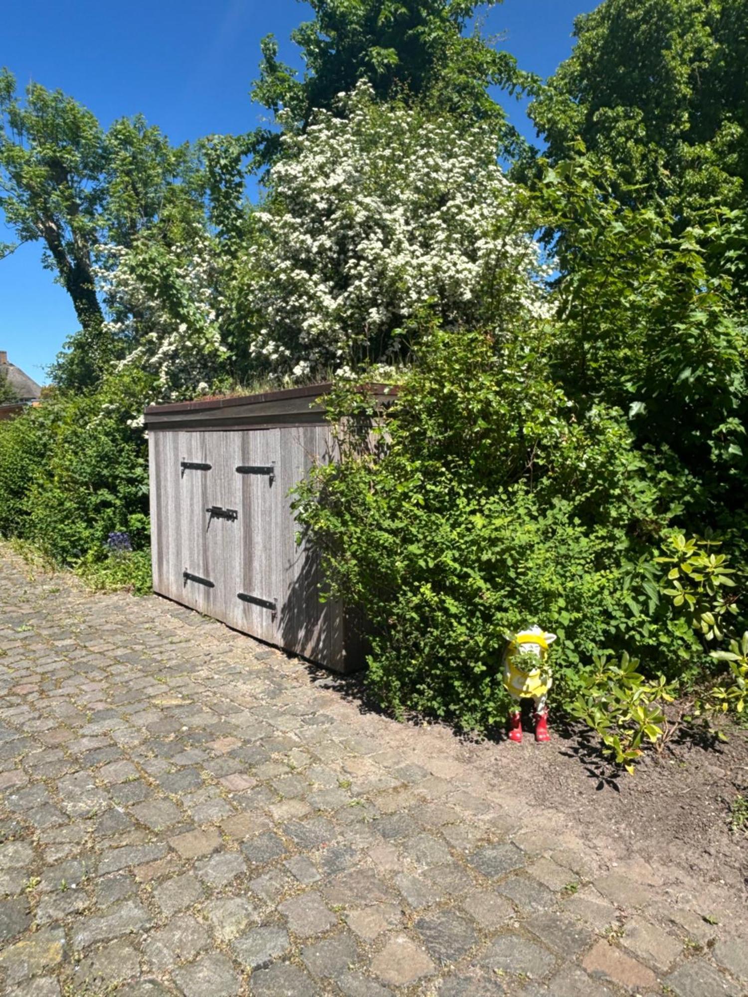 Villa De Friesenjung Risum-Lindholm Exterior foto